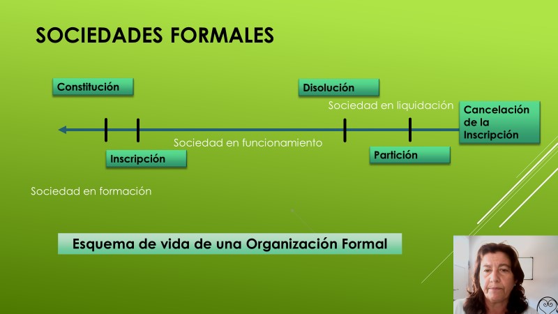 como elegir un tipo societario
