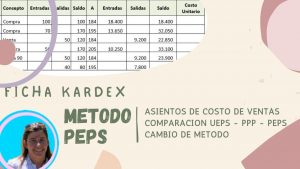Ficha Kardex - Método PEPS