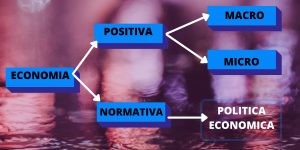 economía positiva y normativa
