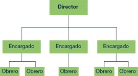 organigrama de la organizacion