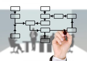 organigrama de la organizacion