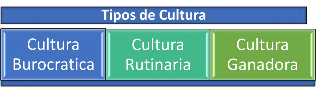 Tipos de culturas organizacionales