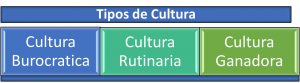 tipos de culturas organizacionales