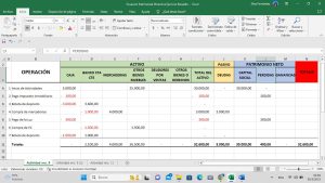 sistema de economia mixta