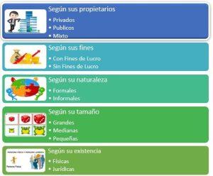 Tipos de organizaciones