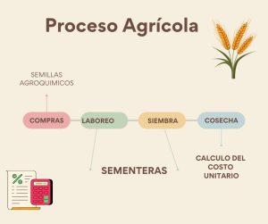 Contabilidad Agropecuaria