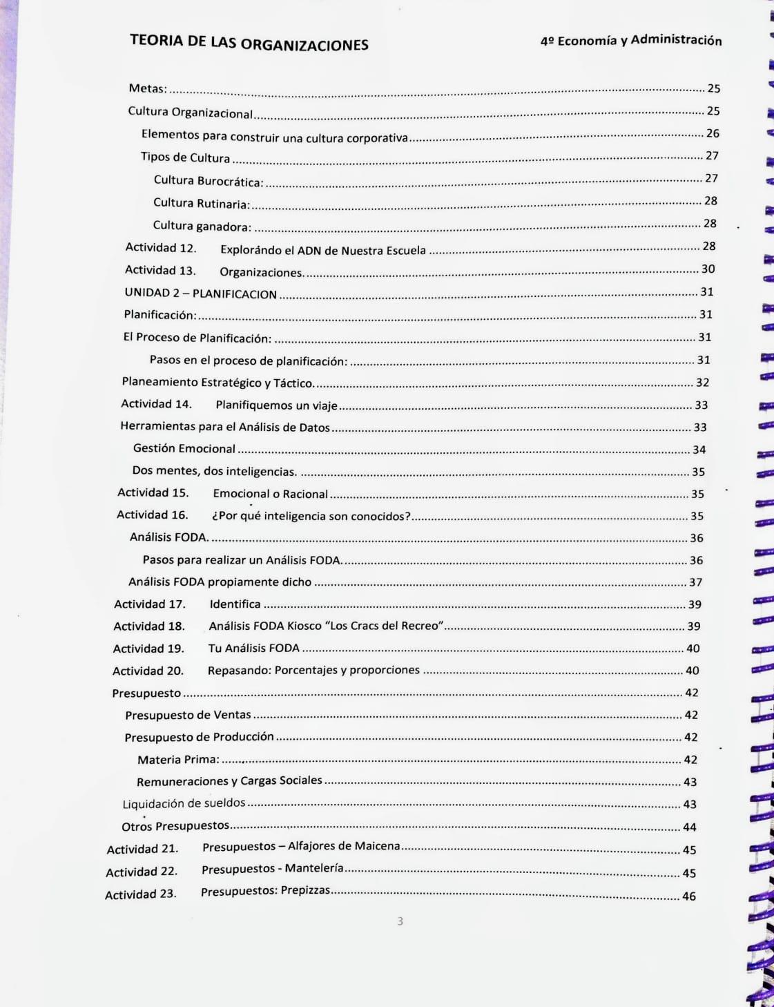 Teoría de las Organizaciones - 4º Economía - Imagen 4